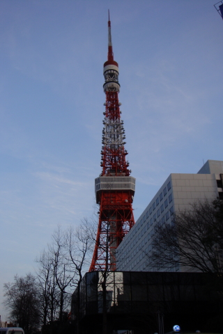 東京旅行（その６）